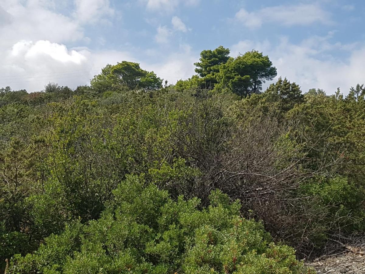 Extra Spacious Seaview Apartments Close To The Beach, With Large Terraces And Free Wi-Fi & Ac & Bbq & Parking Space Sali Εξωτερικό φωτογραφία