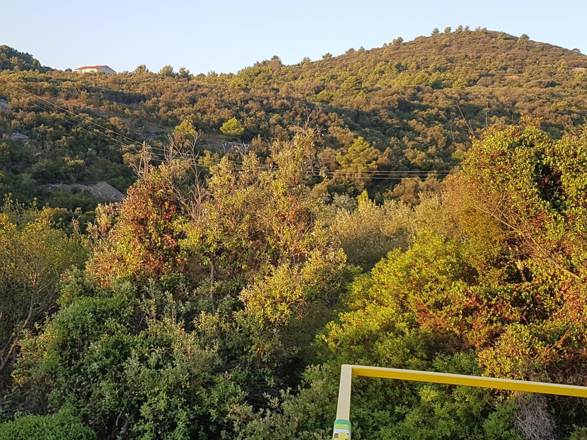 Extra Spacious Seaview Apartments Close To The Beach, With Large Terraces And Free Wi-Fi & Ac & Bbq & Parking Space Sali Δωμάτιο φωτογραφία