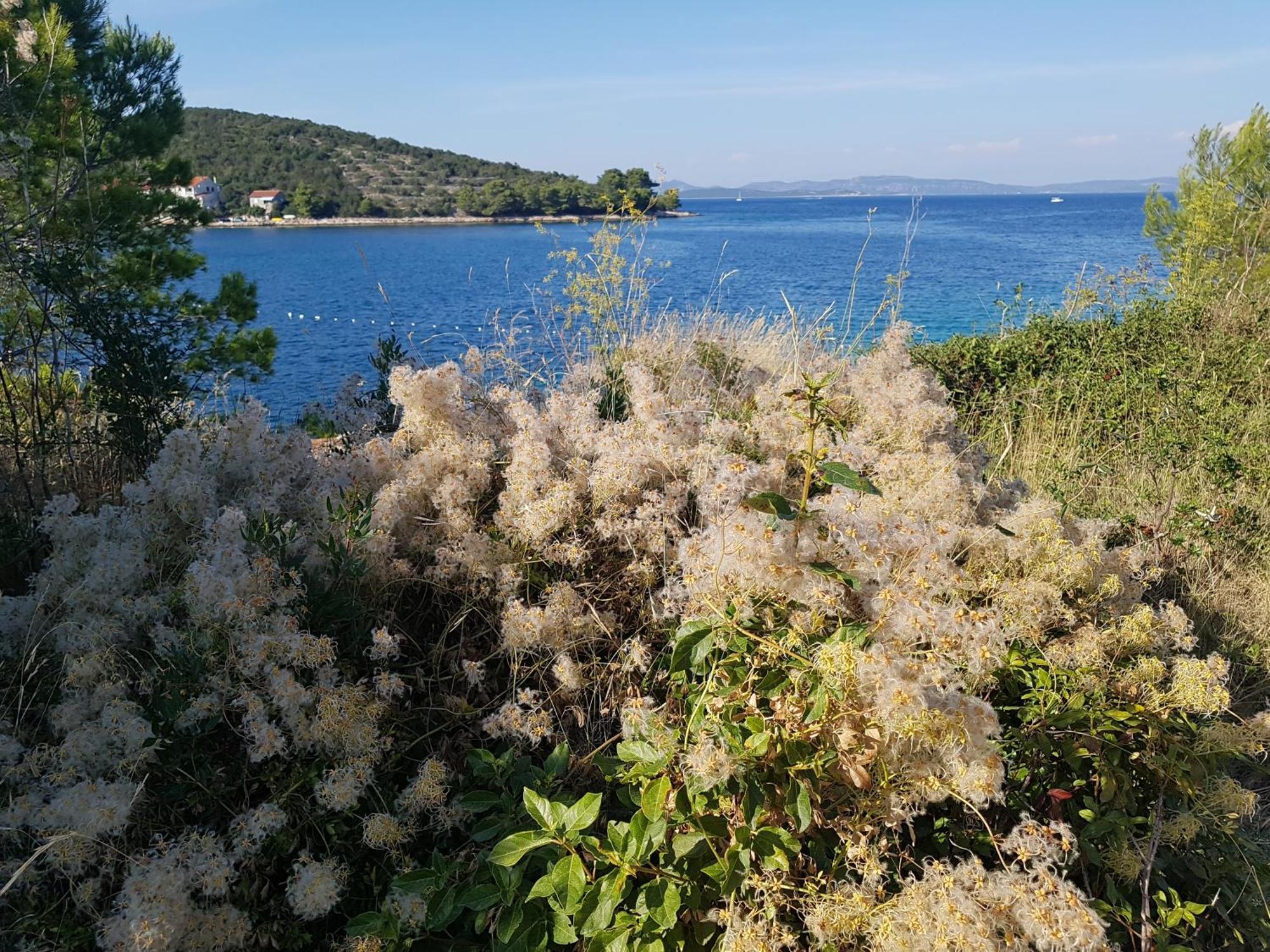 Extra Spacious Seaview Apartments Close To The Beach, With Large Terraces And Free Wi-Fi & Ac & Bbq & Parking Space Sali Εξωτερικό φωτογραφία